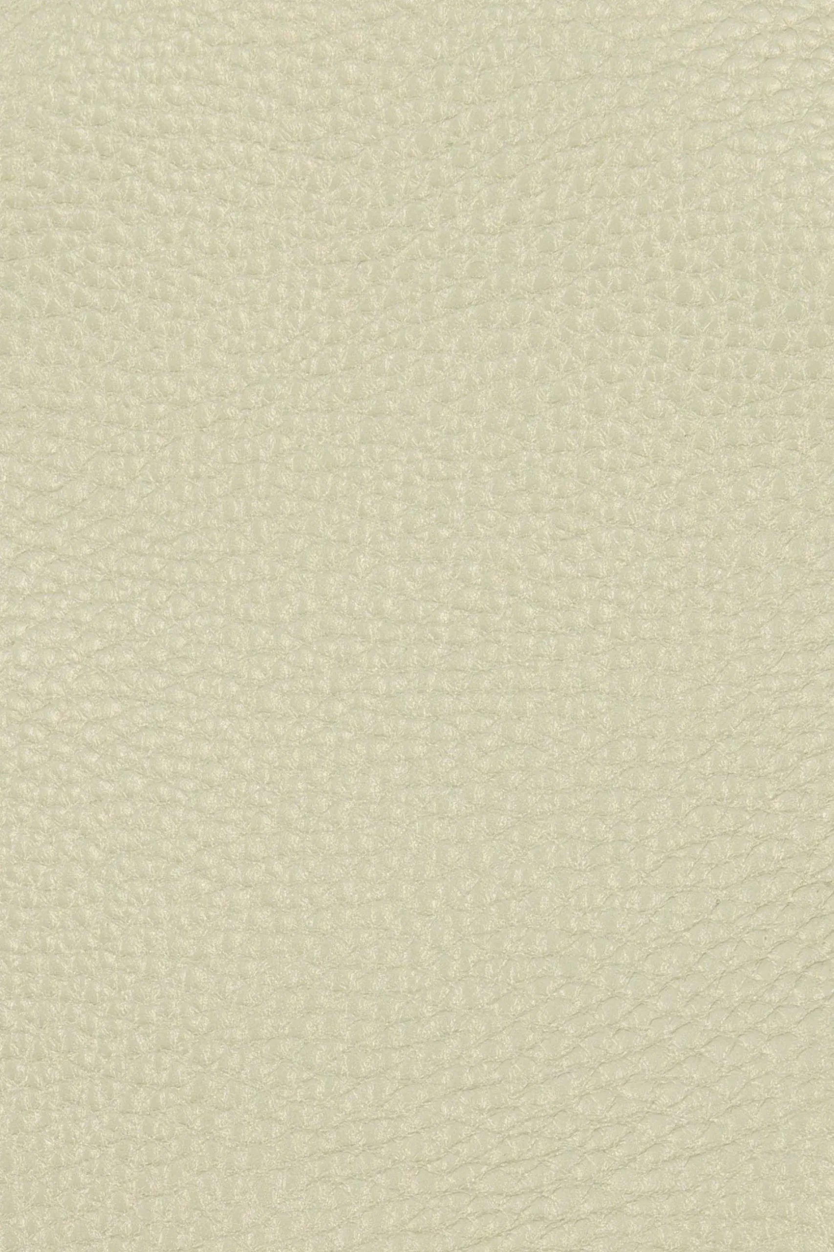 zusss telefoontasje goud